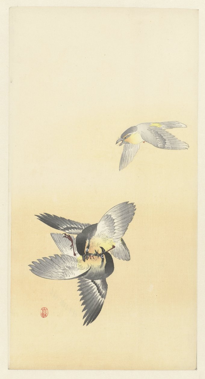 Zwei kämpfende Vögel von Ohara Koson
