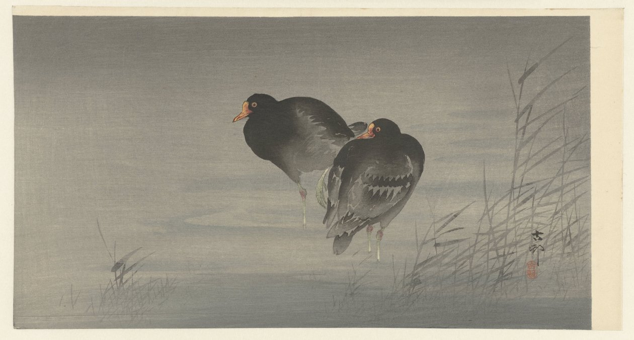 Zwei Teichhühner von Ohara Koson
