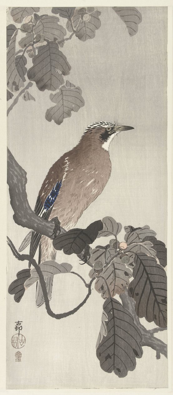 Eichelhäher auf einem Ast von Ohara Koson