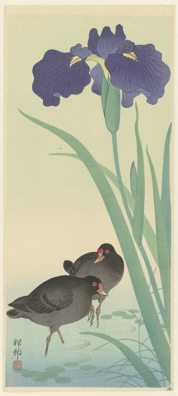 Teichhühner und Iris von Ohara Koson