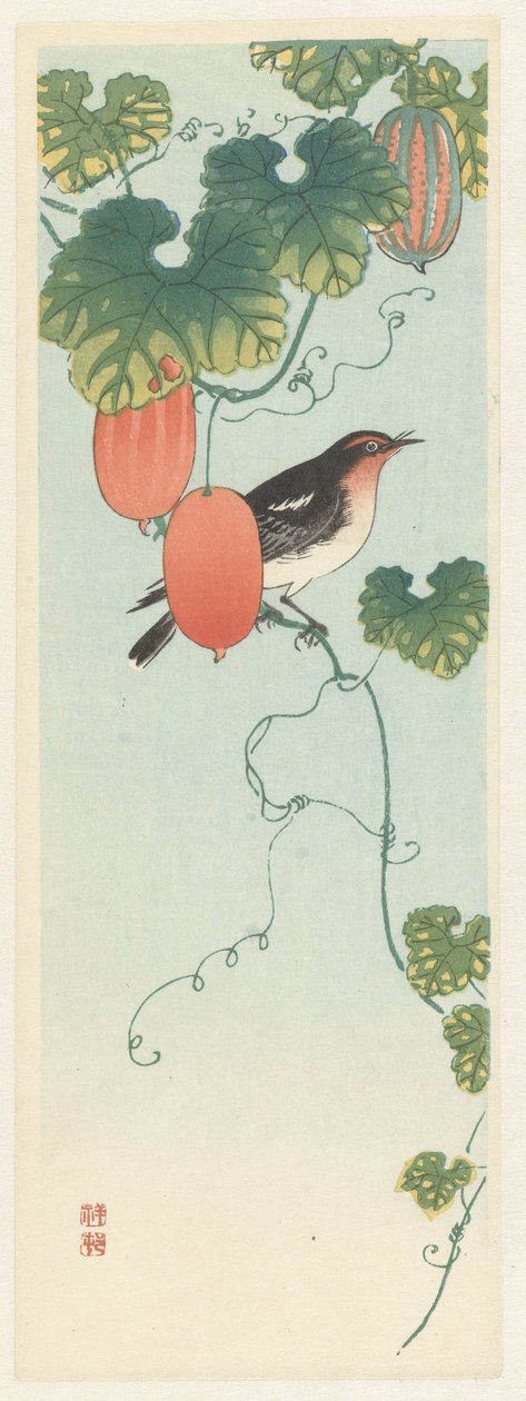 Singvogel in Gurkenpflanze von Ohara Koson