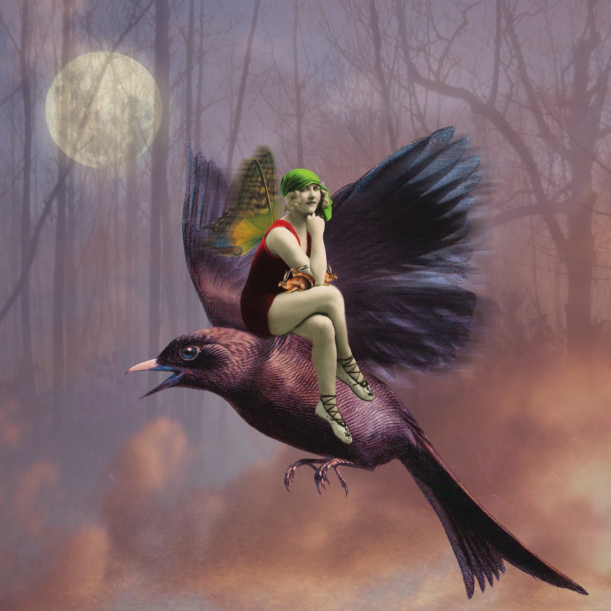 Flug, 2014 von Olga Snell