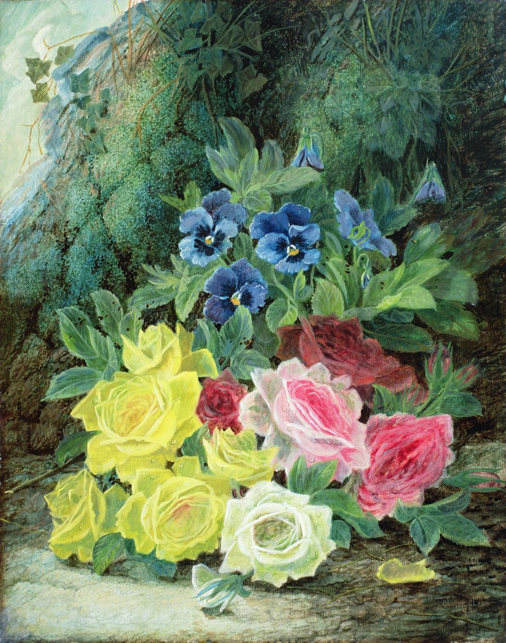 Rosen von Oliver Clare