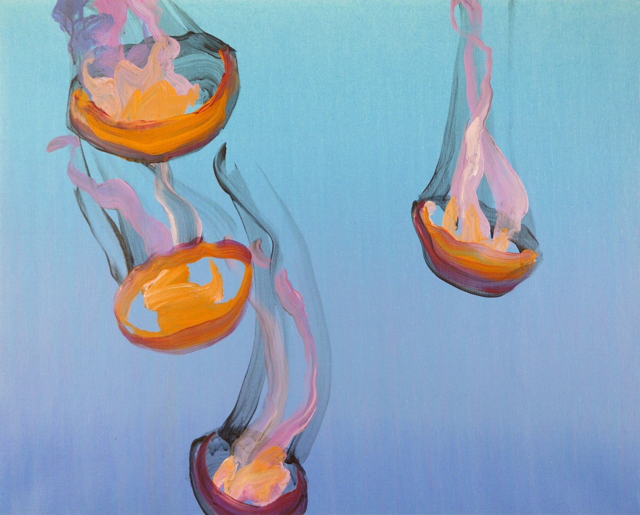 Méduses 13, 2013 von Olivier Morel