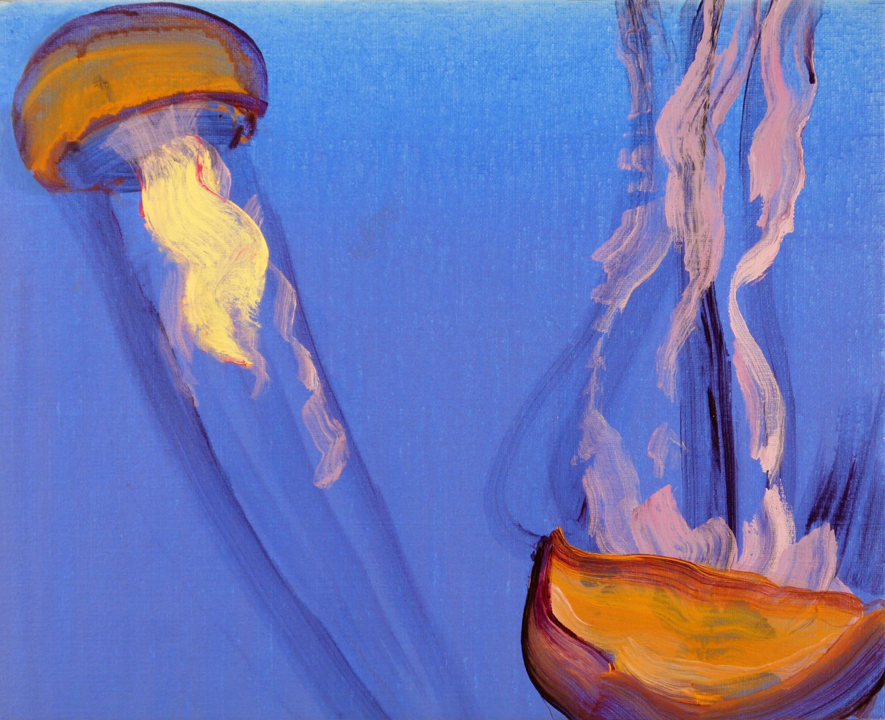 Quallen 7, 2013 von Olivier Morel