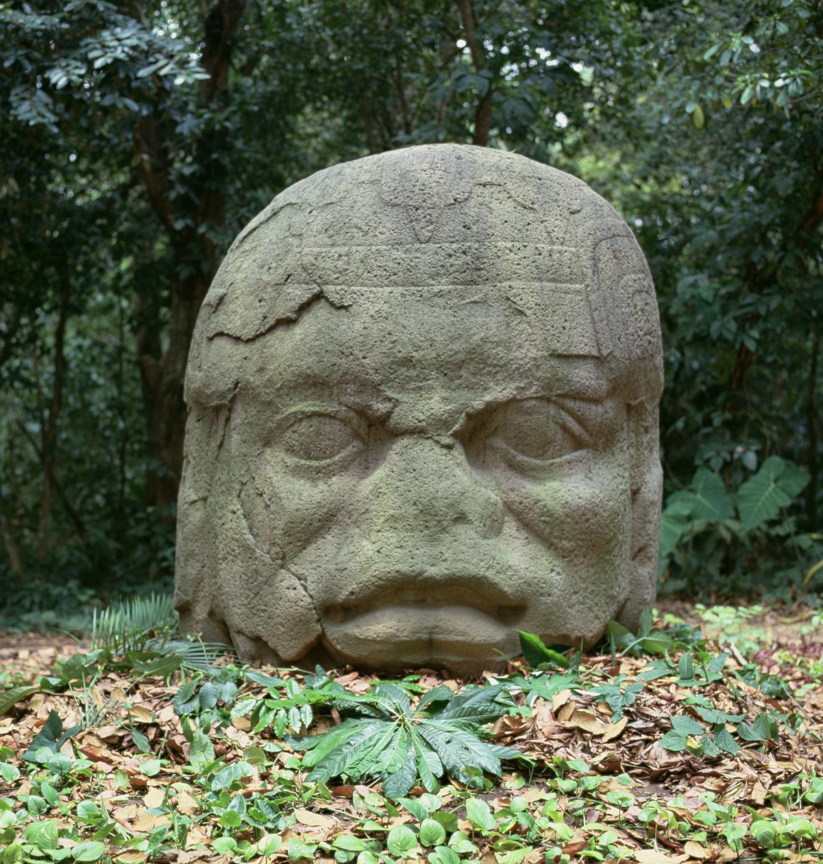 Kolossaler Kopf 4, Vor-Klassische Periode von Olmec