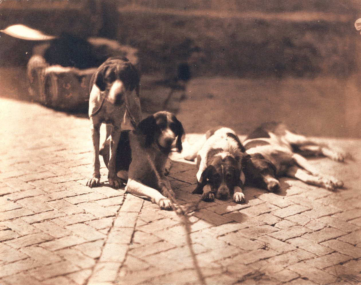 Jagdhunde, um 1853 von Olympe Aguado