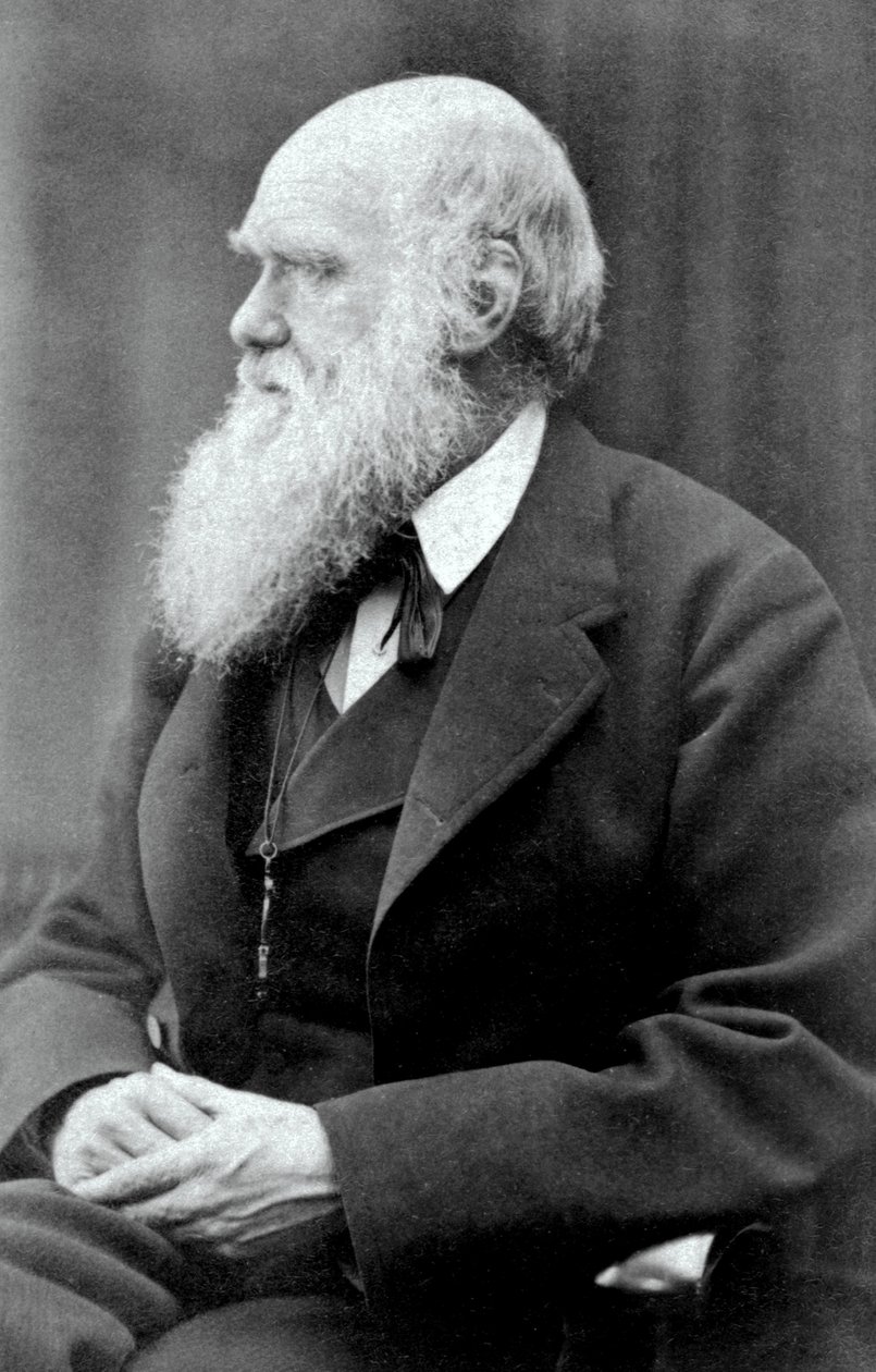 Charles Darwin, 1875 von Oscar Gustav Rejlander