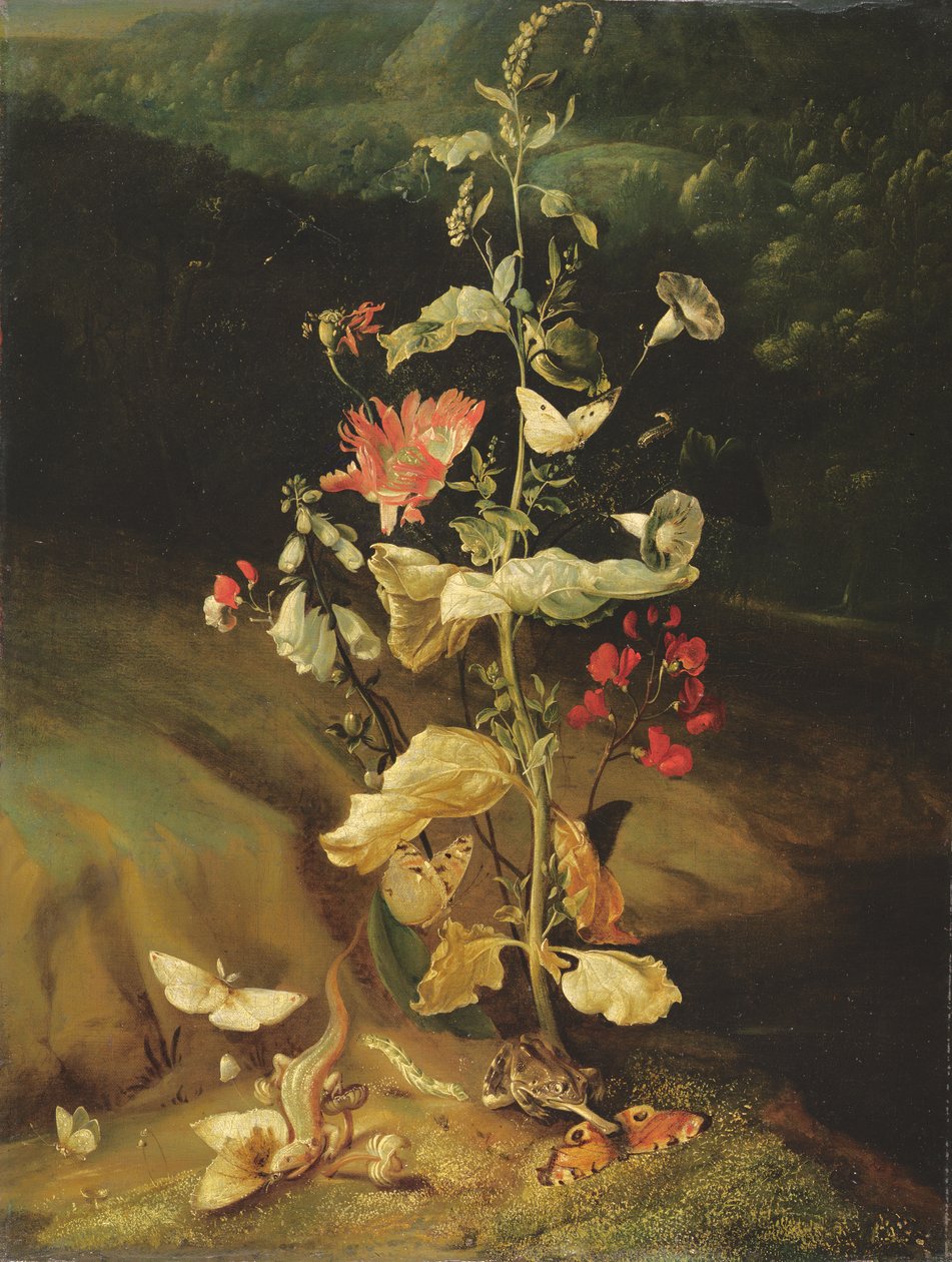 Stillleben mit Blumen von Otto Marseus  van Schrieck
