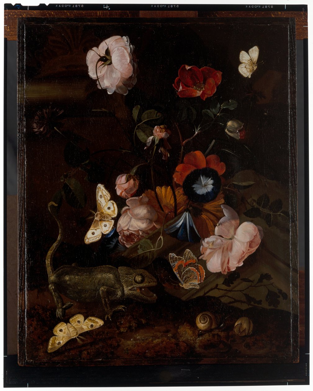 Waldstillleben von Otto Marseus  van Schrieck