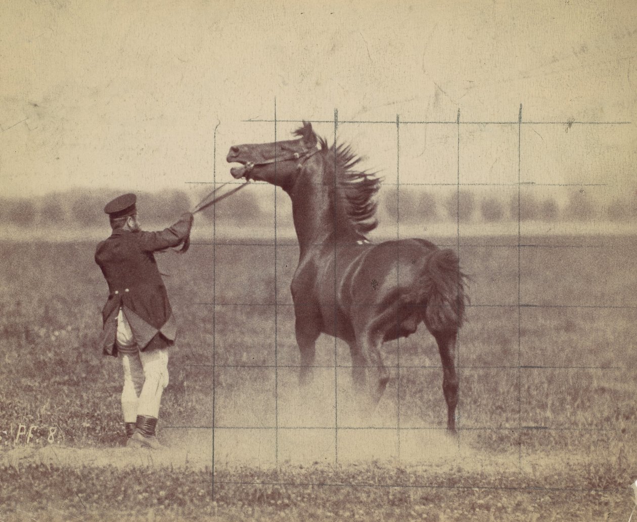 Pferd, 1884 von Ottomar Anschütz