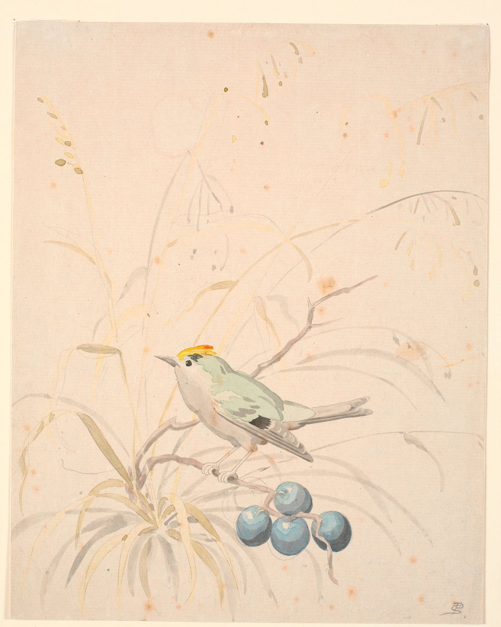 Ein Zaunkönig auf einem Schlehengren von P.C. Skovgaard