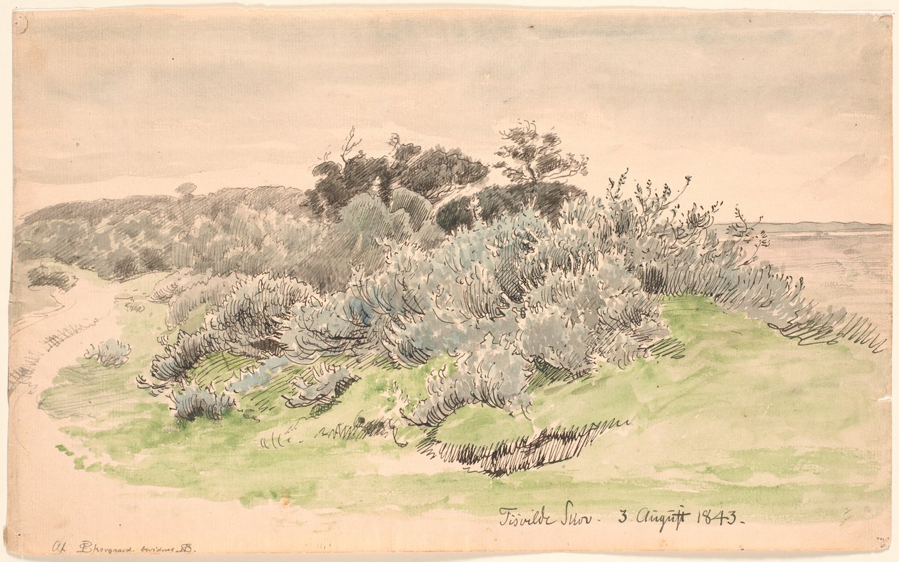 Landschaft mit Gebüsch von P.C. Skovgaard