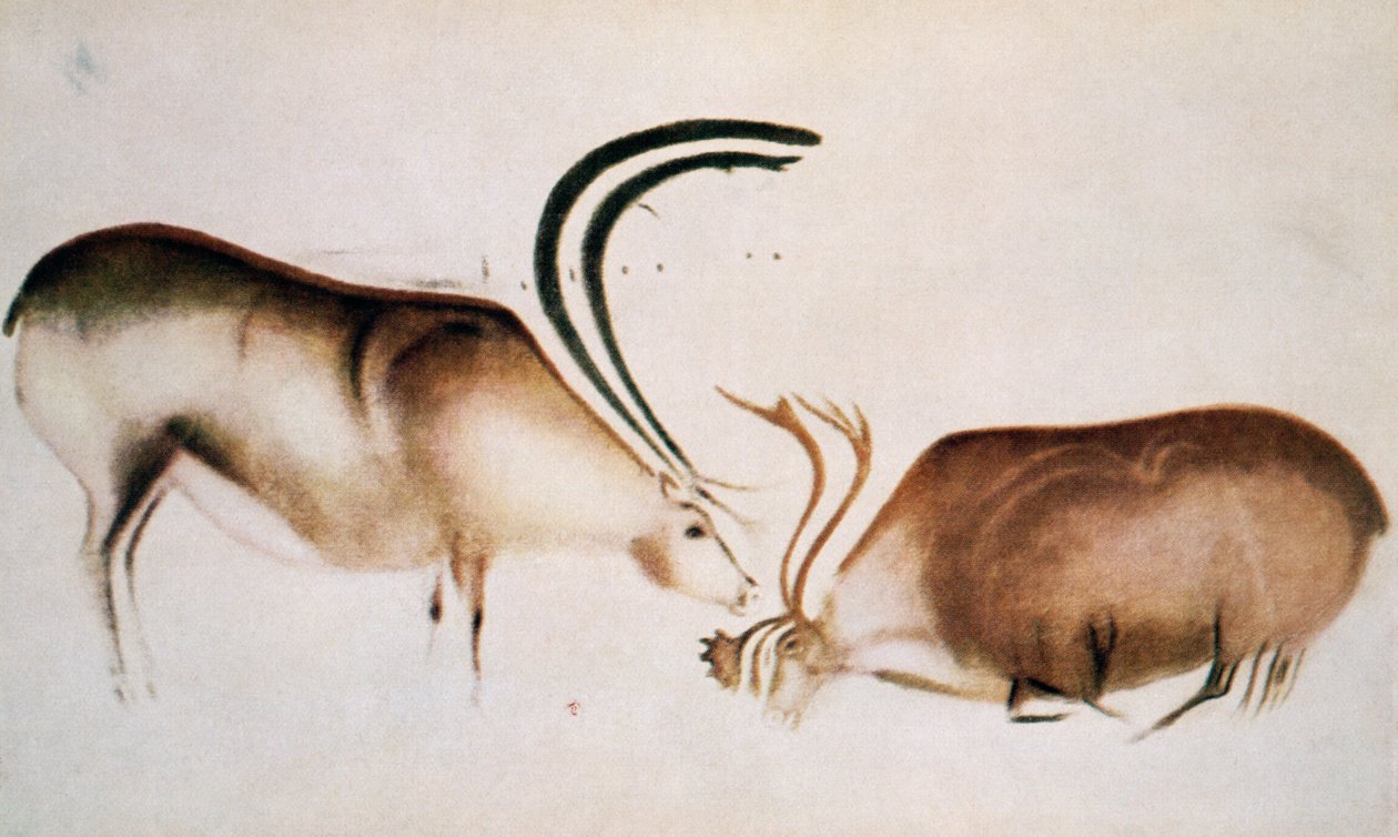Männlicher und weiblicher Hirsch, Magdalénische Schule, ca. 13000 v. Chr. (Höhlenmalerei) von Paleolithic