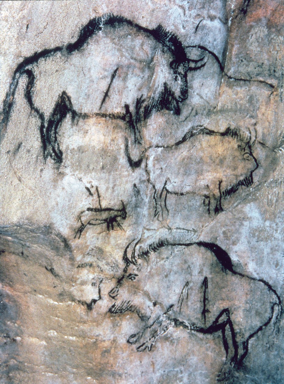 Verletzter Bison, Magdalénien von Paleolithic Paleolithic
