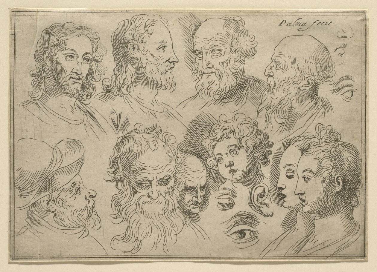 Skizzenplatte mit zehn Köpfen, 1636 von Palma Il Giovane