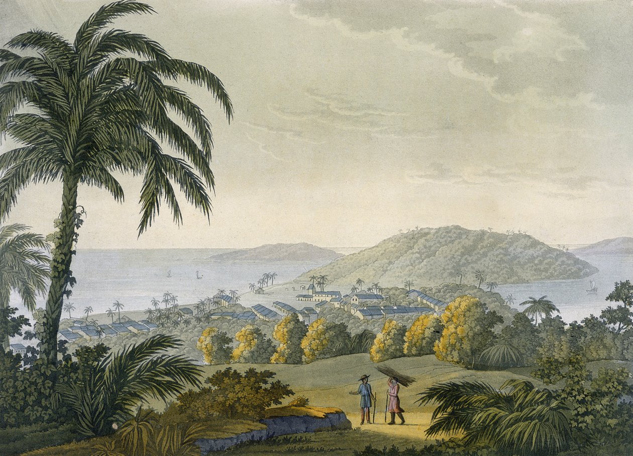 Ilheus von Paolo Fumagalli