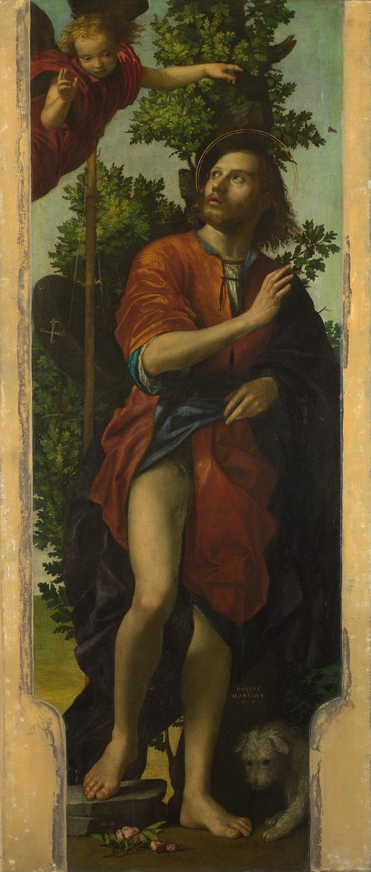 Heiliger Rochus von Paolo Morando Cavazzola
