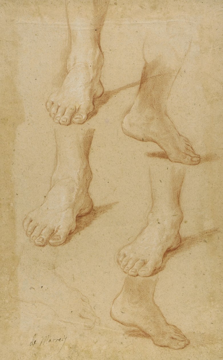 Zeichnung von Paolo de Matteis