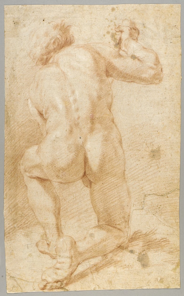 Zeichnung von Paolo de Matteis