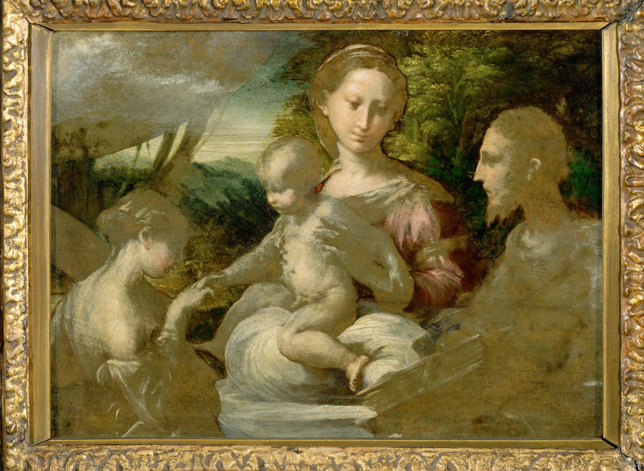 Madonna und Heilige von Parmigianino (1503 40)