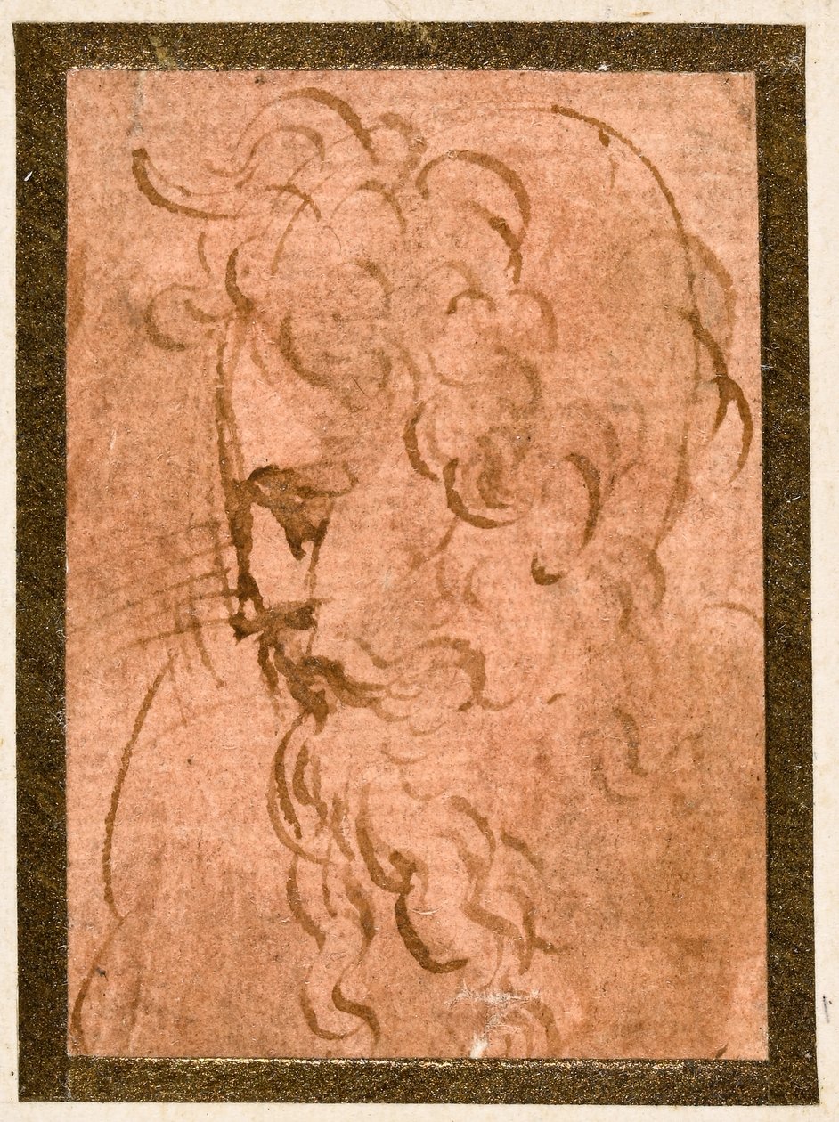 Männlicher Kopf von Parmigianino