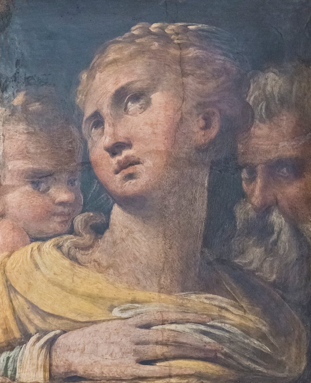 Drei Köpfe von Parmigianino (1503 40)