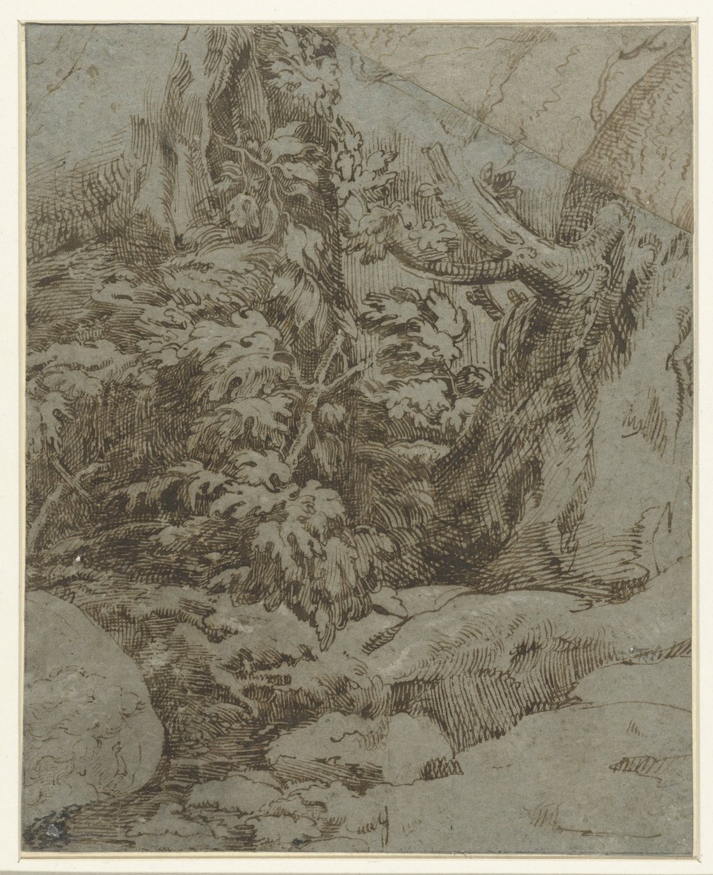 Studie einer Landschaft von Parmigianino