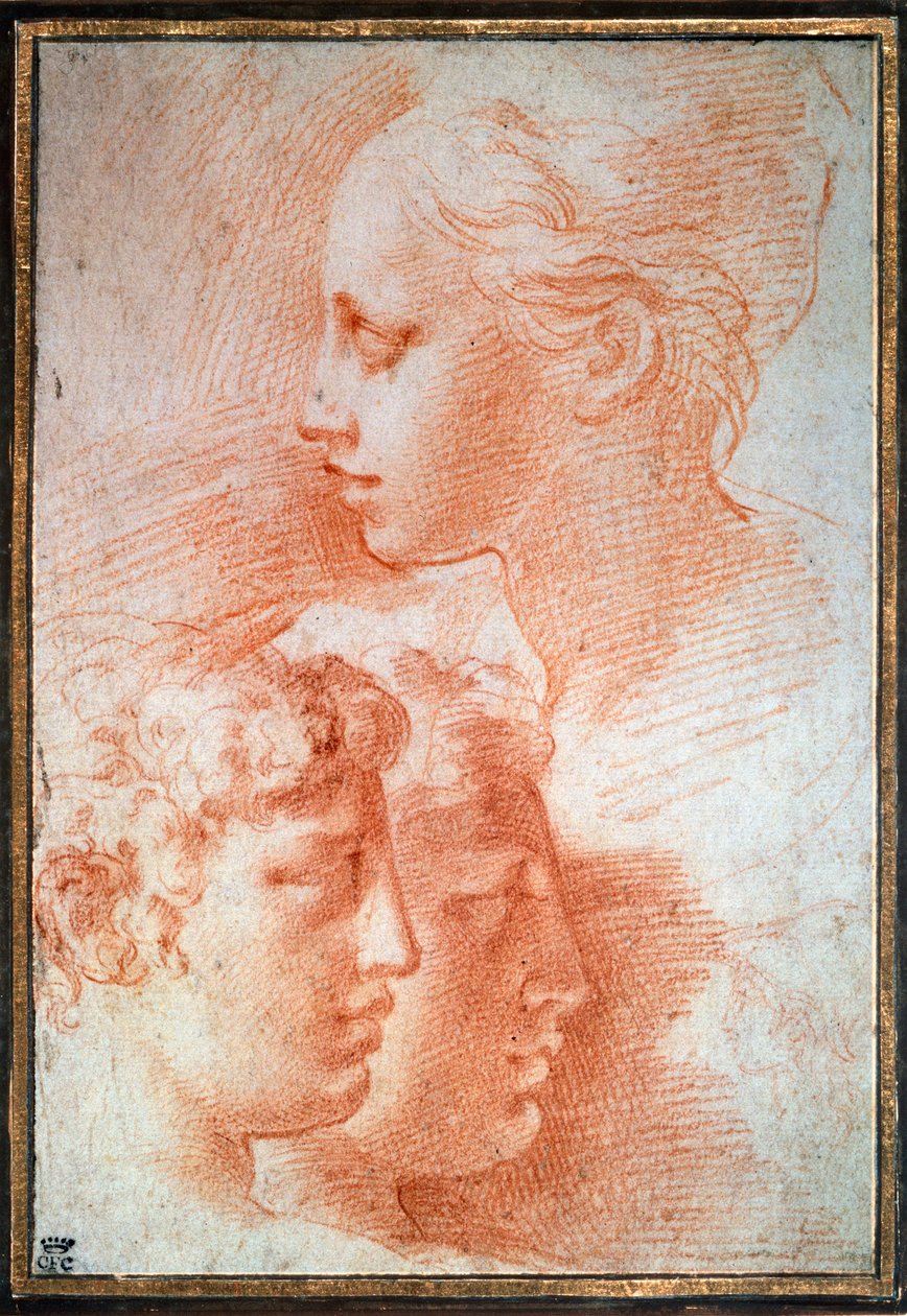 Studie der Köpfe, ca. 1527 von Parmigianino