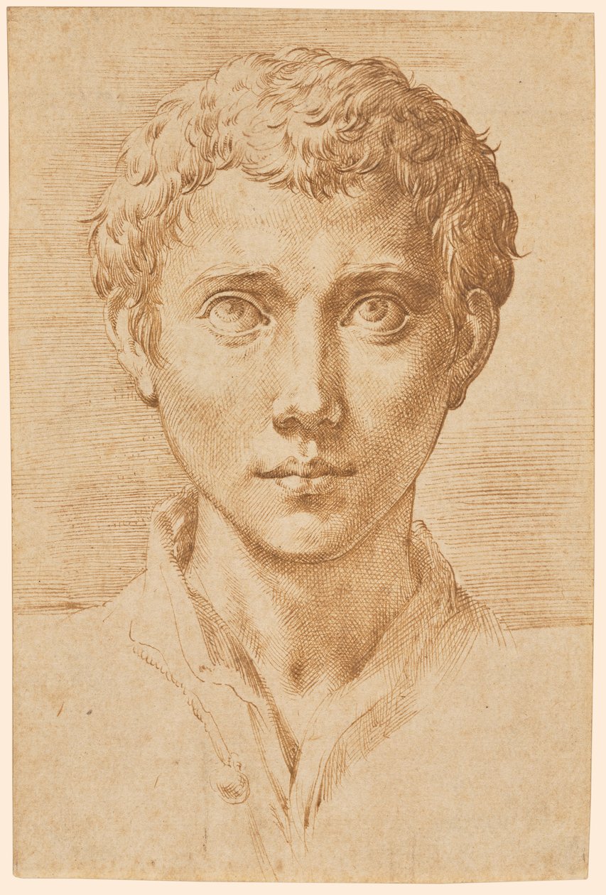 Der Kopf eines jungen Mannes von Parmigianino