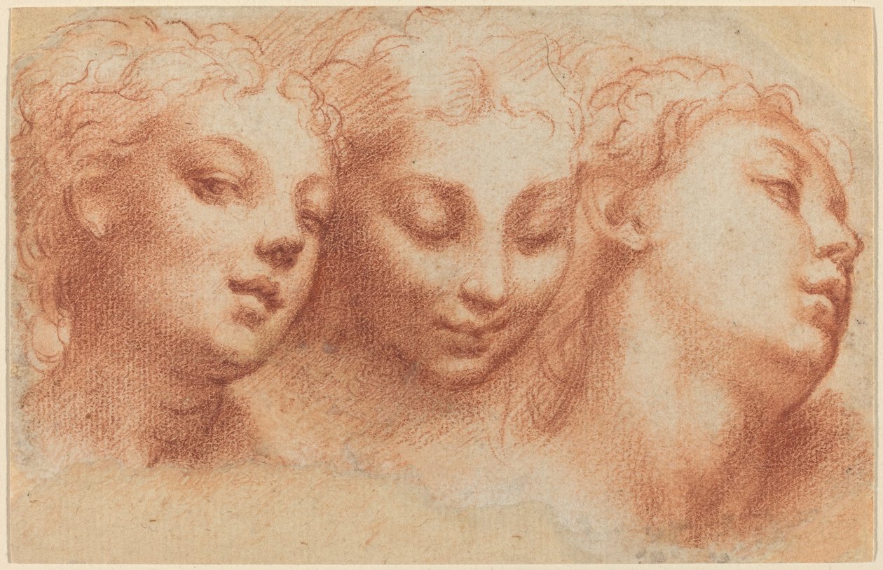 Drei weibliche Köpfe von Parmigianino