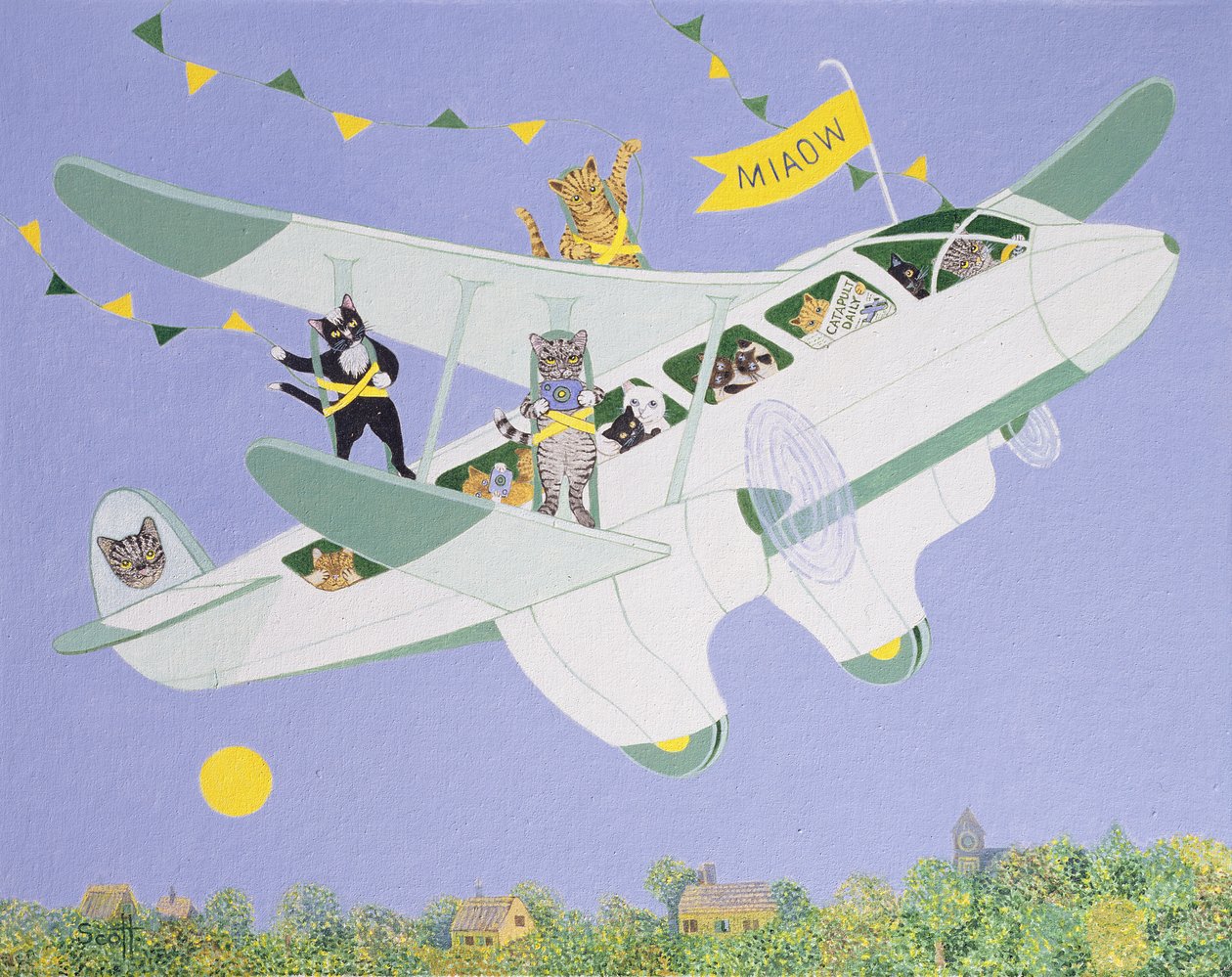 Katzenflugshow von Pat Scott