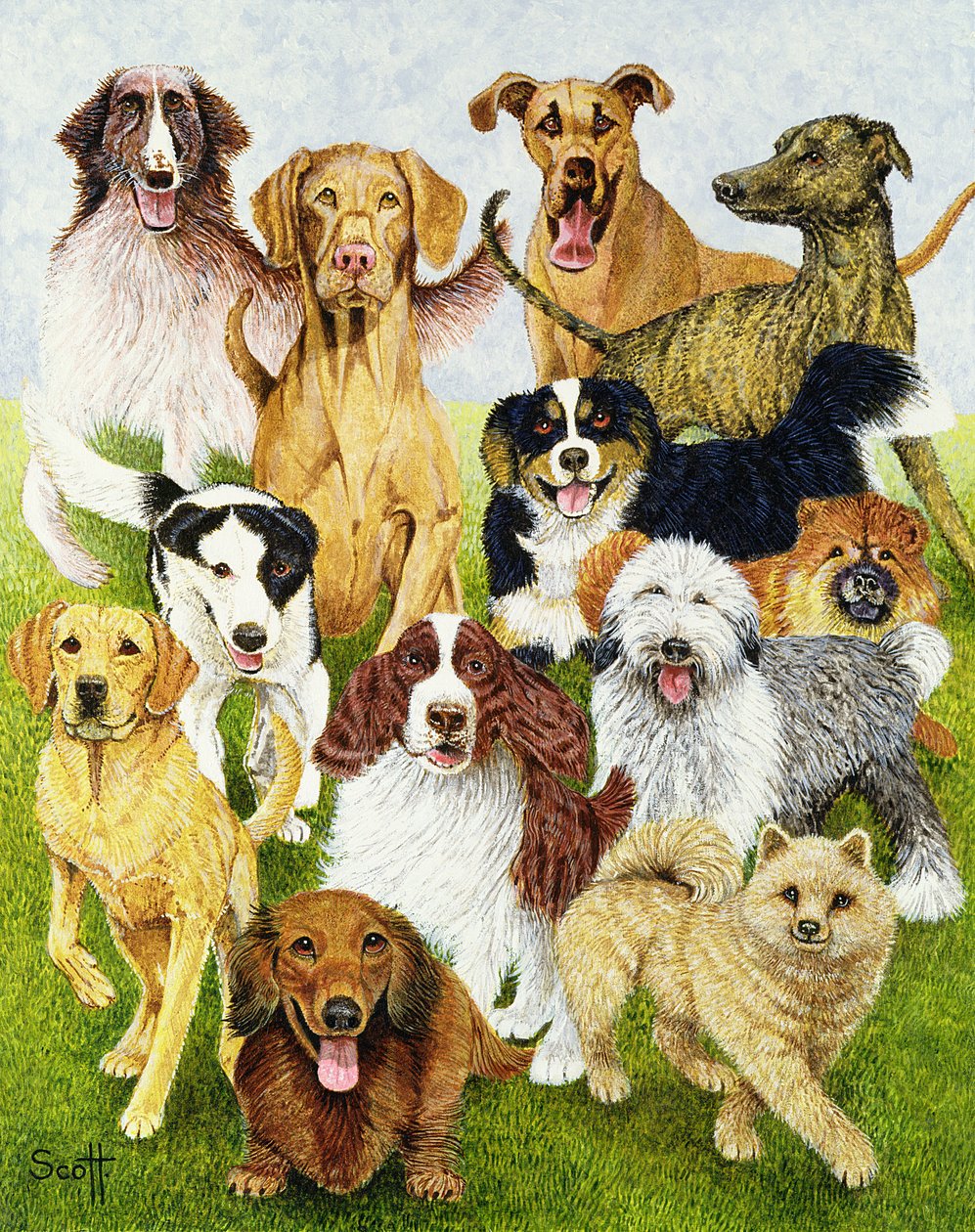 Hundstage von Pat Scott