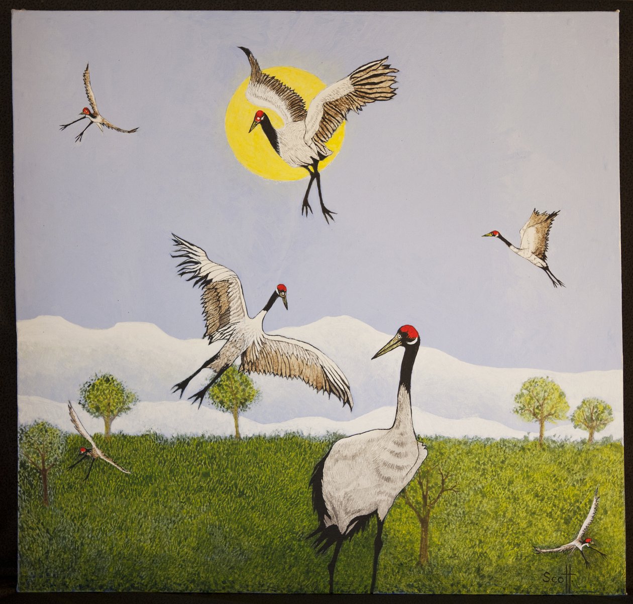 Frühlingsboten, 2016 von Pat Scott