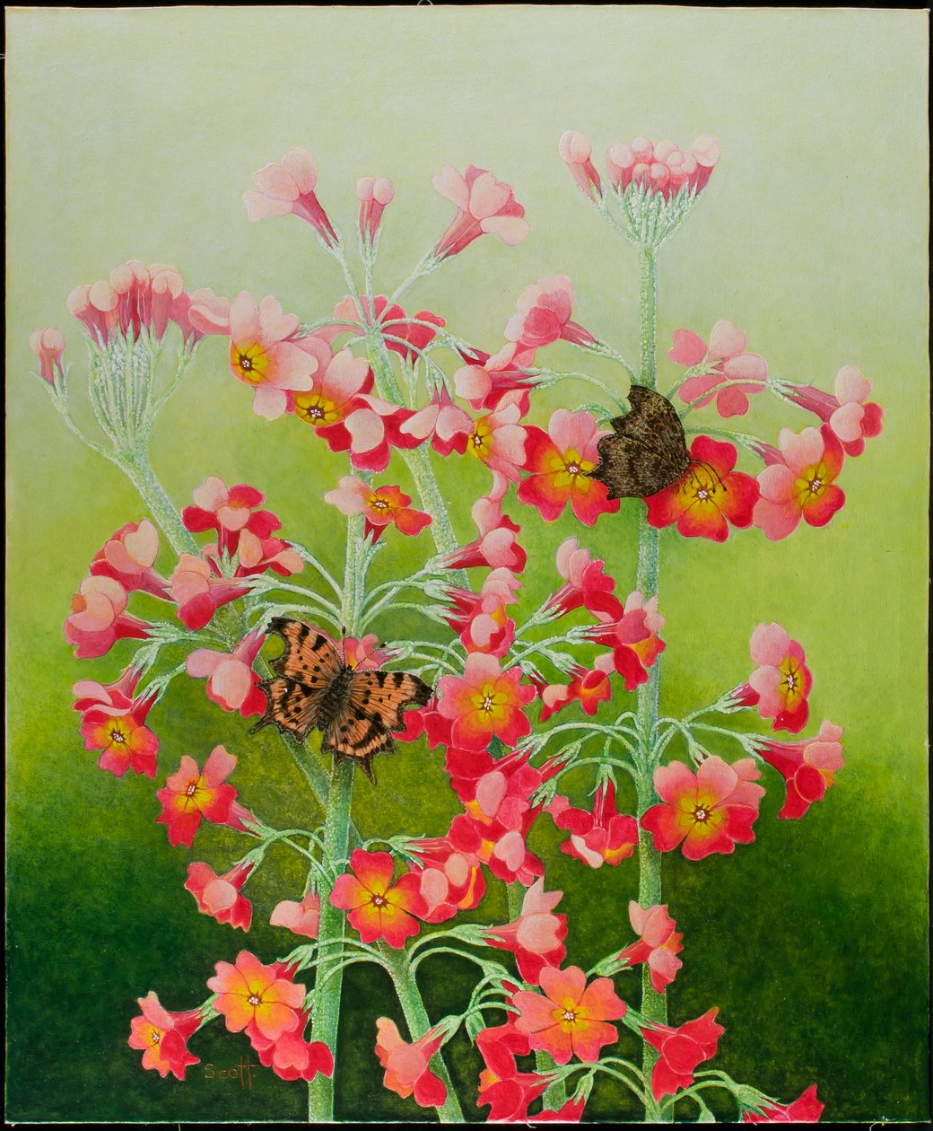 In Rosa, 2011 von Pat Scott