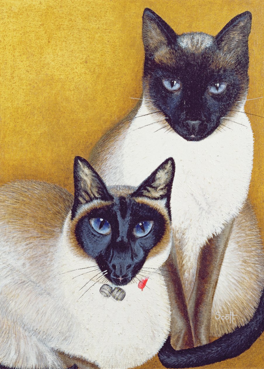 Mavis und Barnaby von Pat Scott