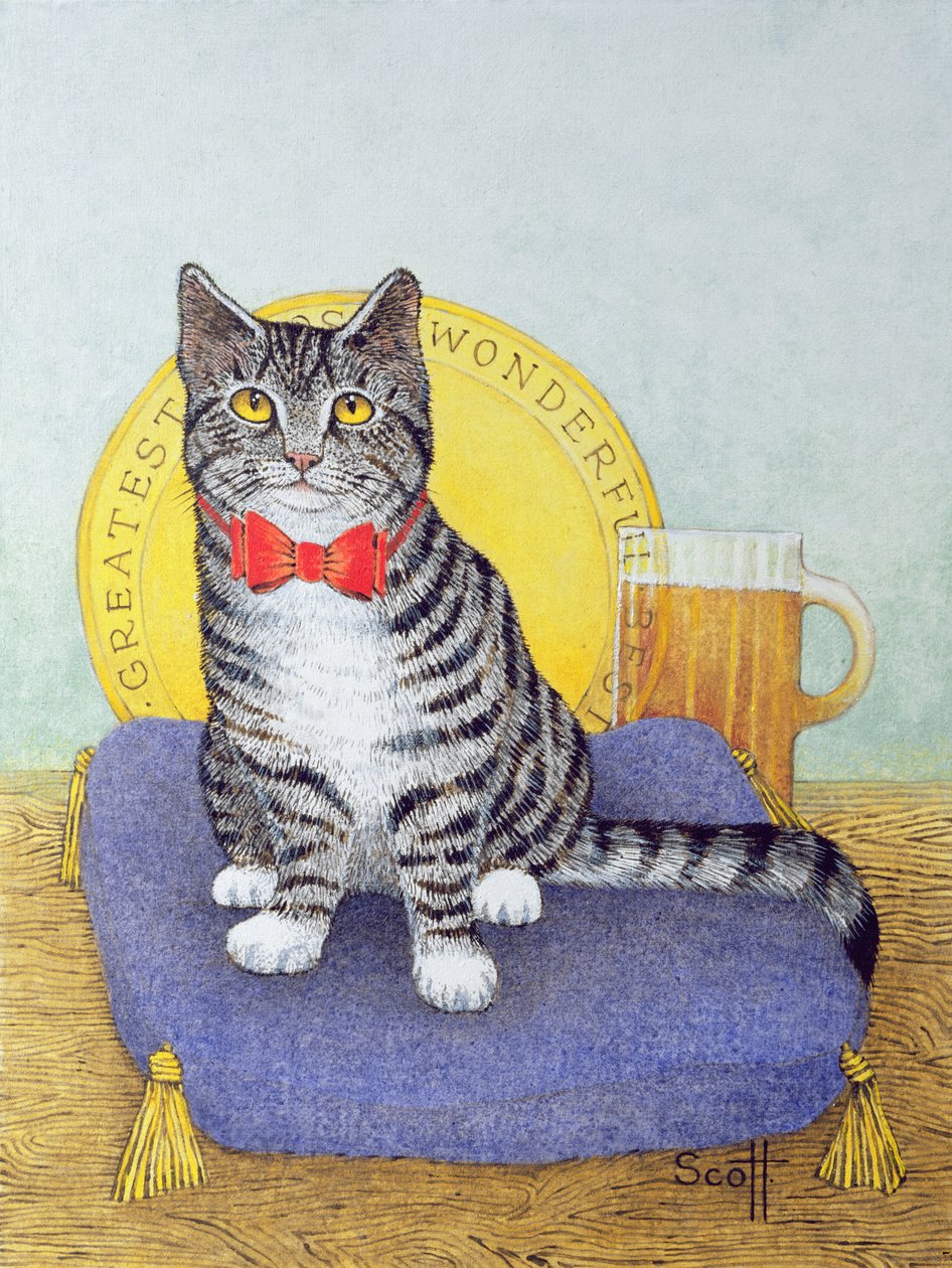 Mr. Wonderful von Pat Scott