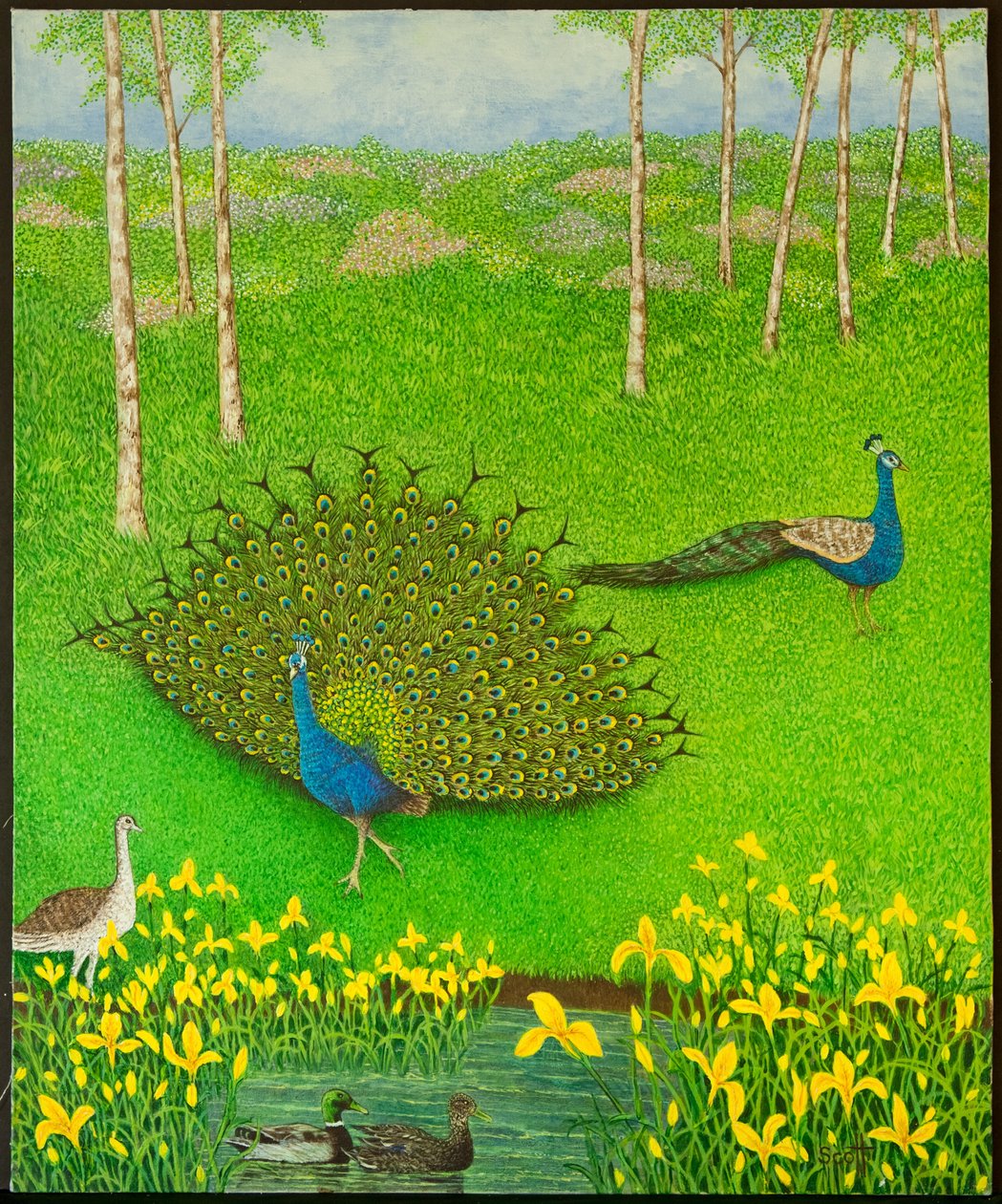 Gewinnende Wege, 2012 von Pat Scott