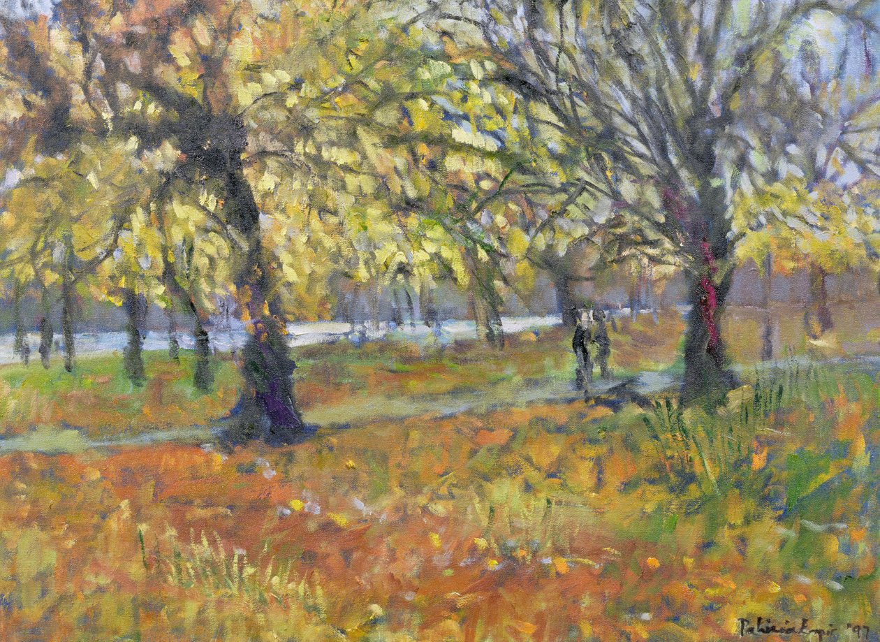 November im Hyde Park, 1997 von Patricia Espir