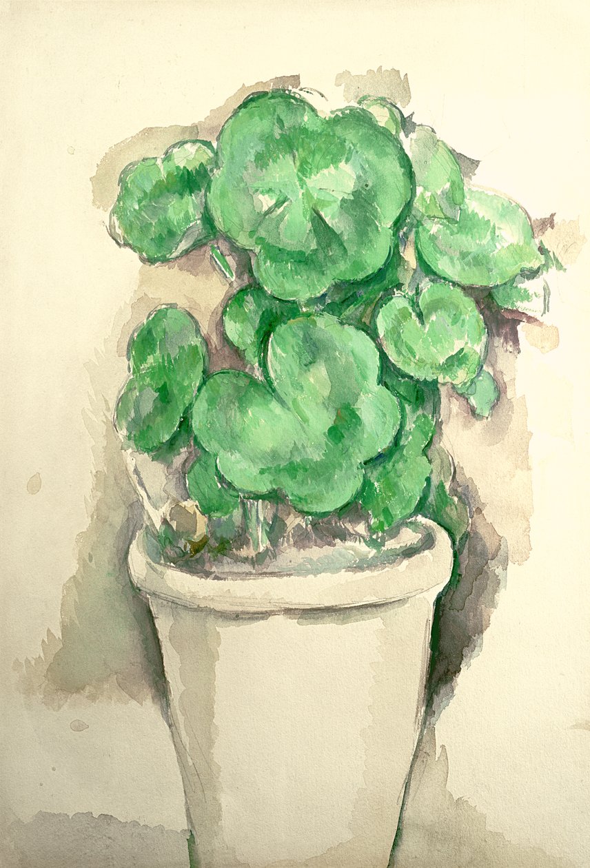 Topf mit Geranien, ca. 1885 von Paul Cézanne