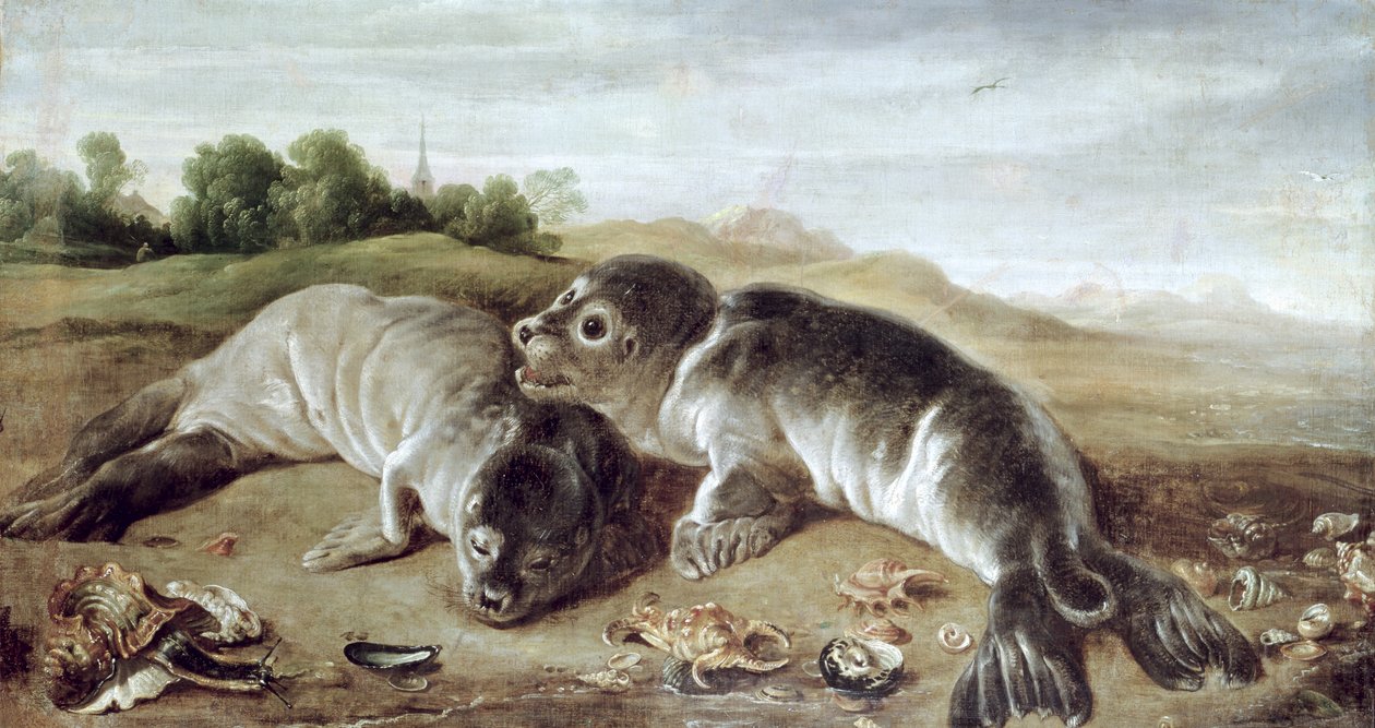 Zwei junge Robben am Ufer, ca. 1650 von Paul De Vos