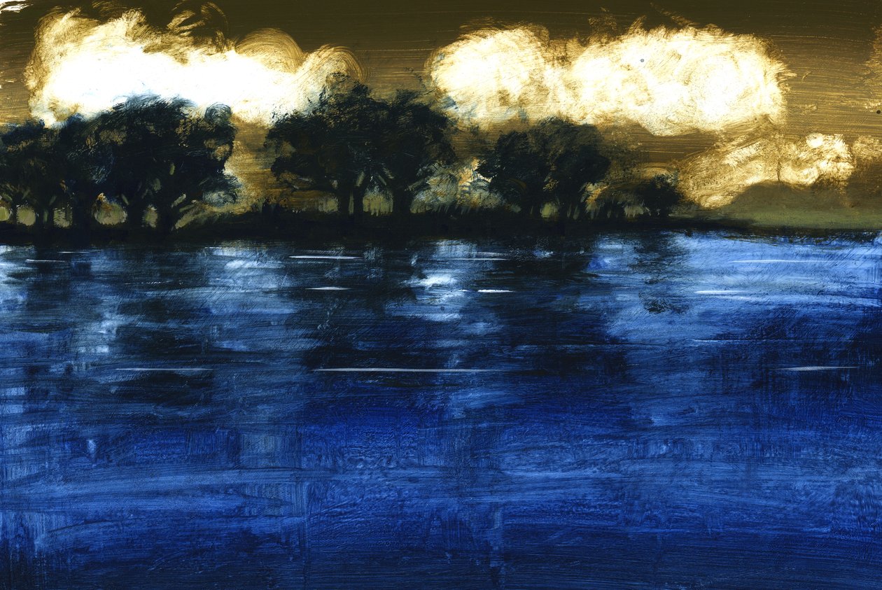 Flut, 2009 von Paul Powis