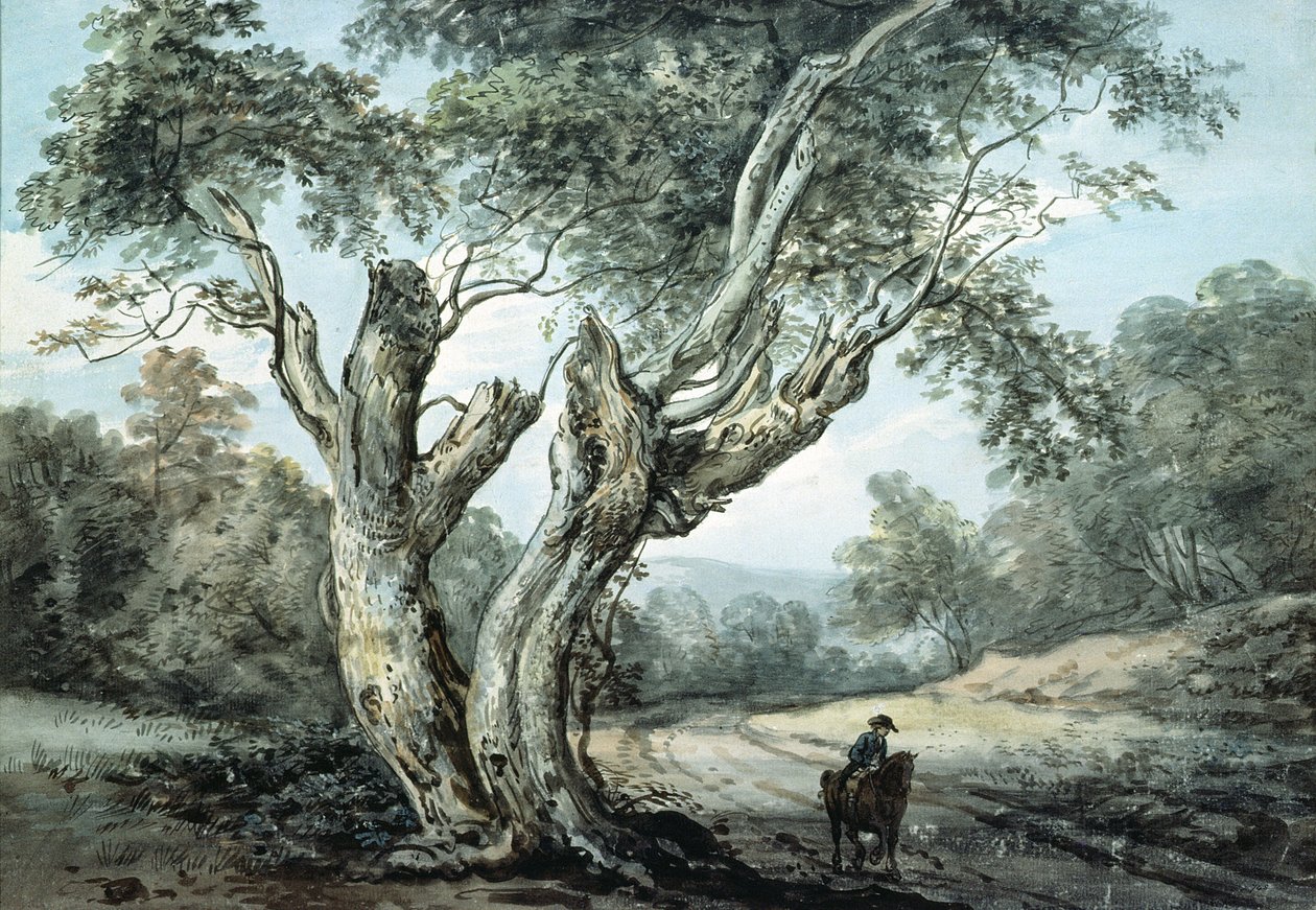 Ein Weg durch den Windsor Forest von Paul Sandby