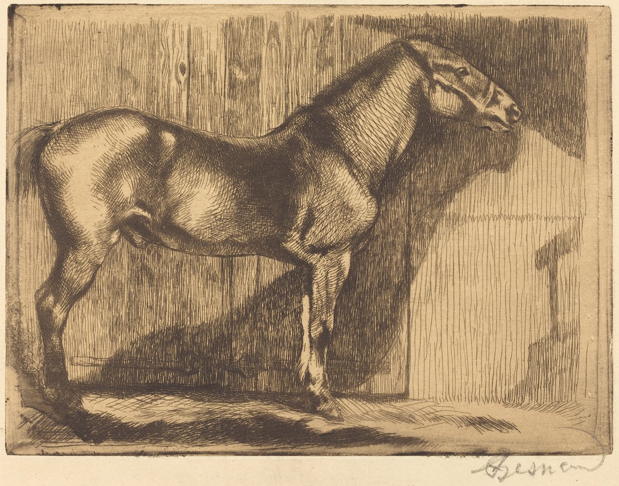 Pony von Paul Albert Besnard