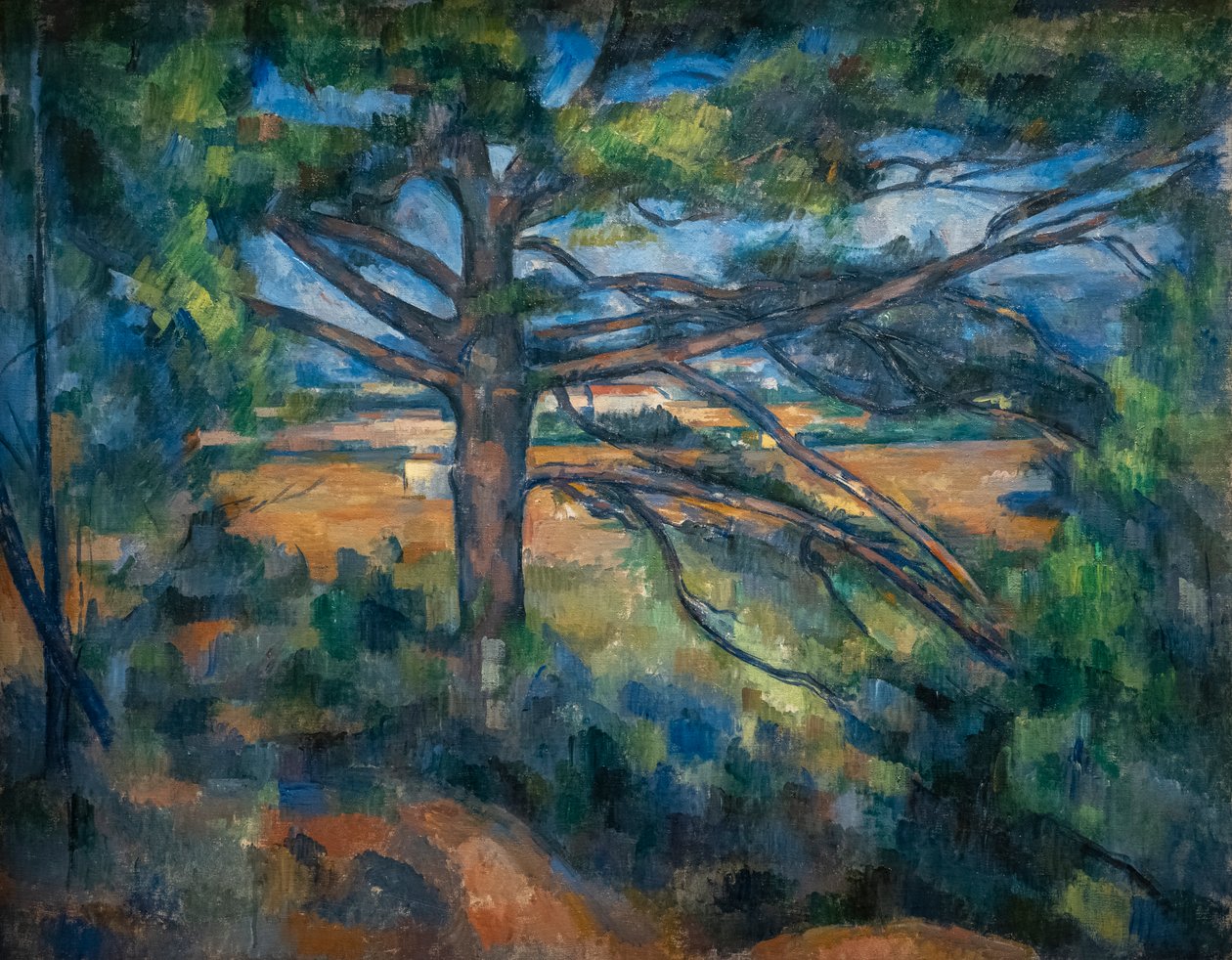 Große Kiefer bei Aix von Paul Cézanne