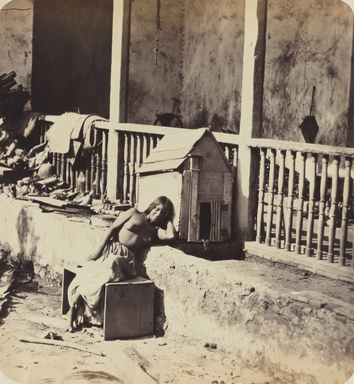 Chien de Garvel Martinique von Paul Emile Miot