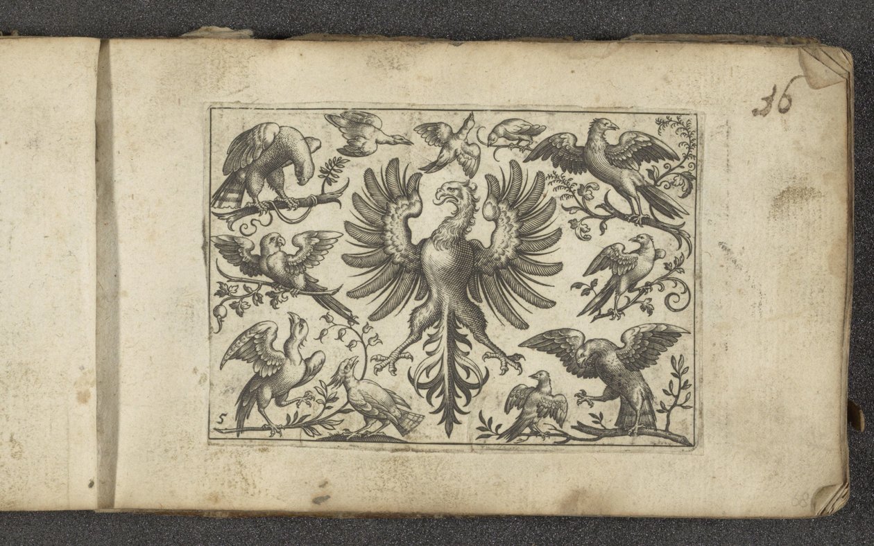 Raubvogel und elf andere Vögel von Paul Göttich