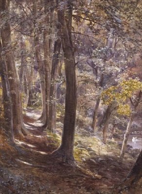 Eine Waldlichtung von Paul Jacob Naftel