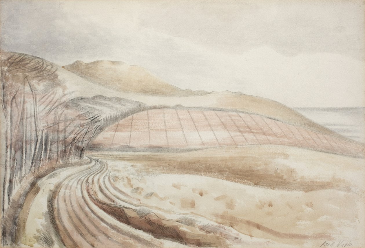 Landschaft in Dorset von Paul Nash