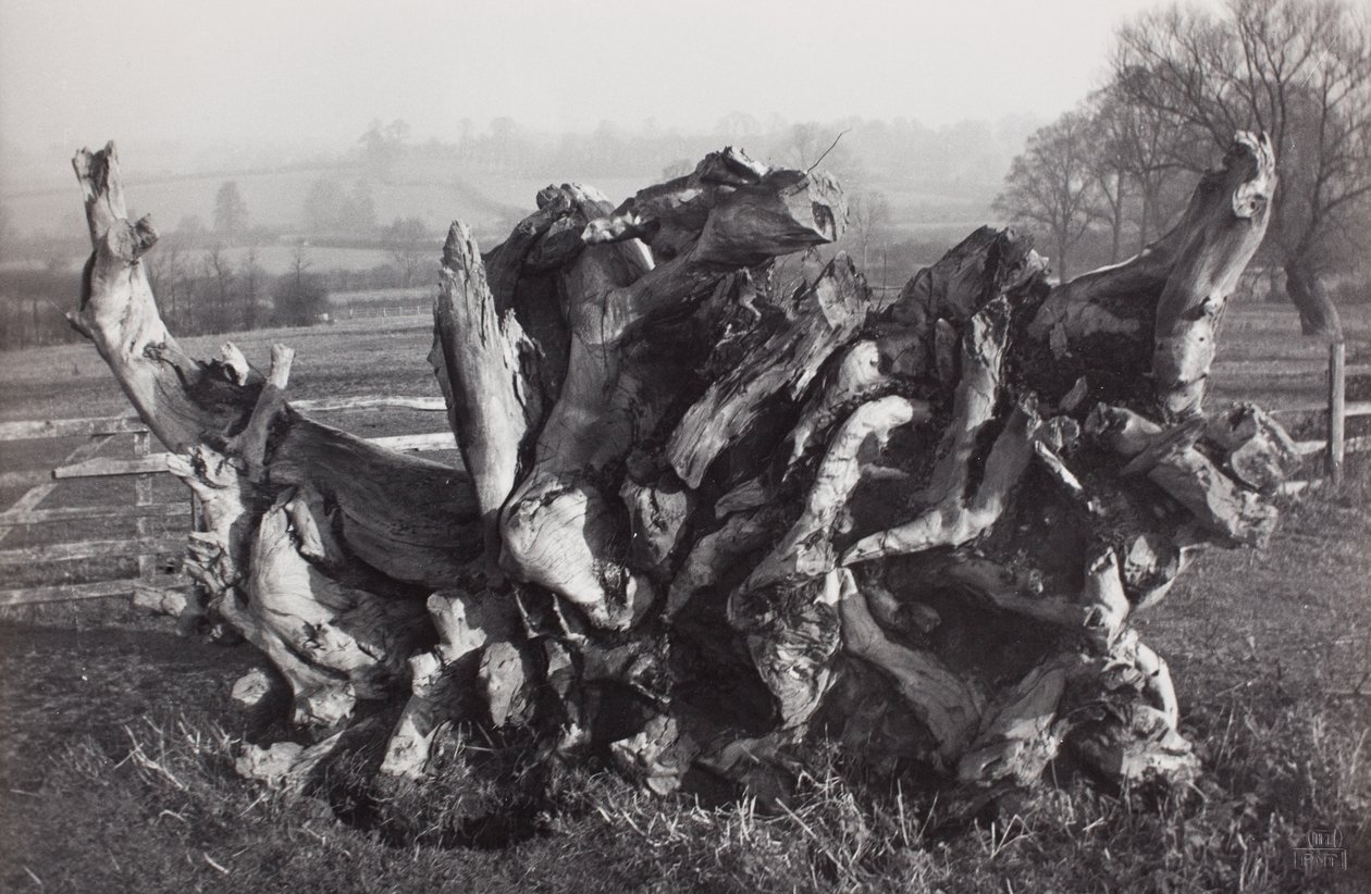 Laokoon, Carswall